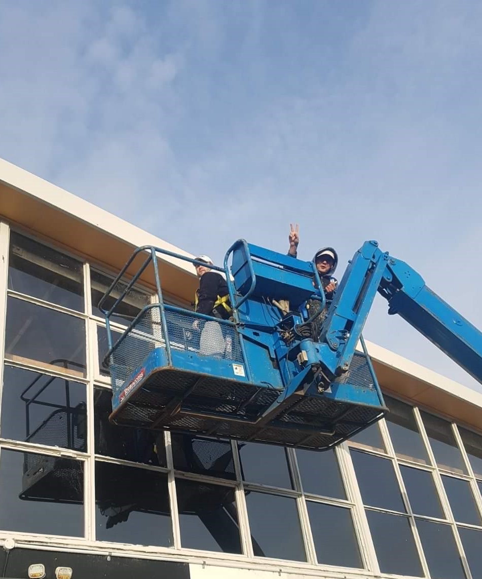 Basarab painters in Auckland